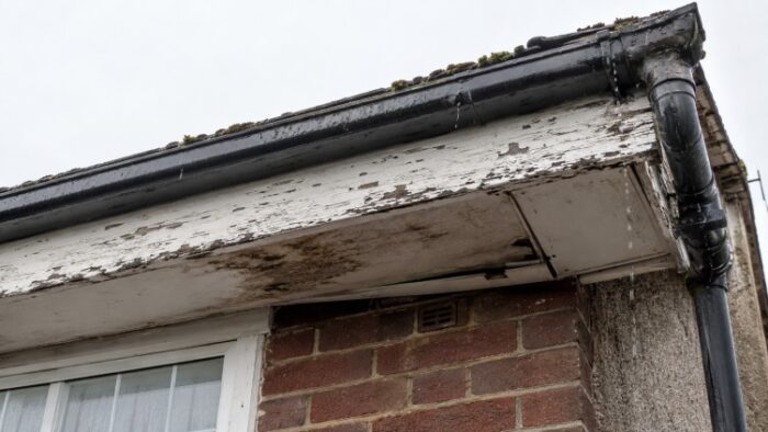 Fascia Boards and Soffits: A Practical UK Roofline Guide 6 Aluminium fascia boards and soffits on a modern UK extension with dark roofline finish, guttering and large glazed doors